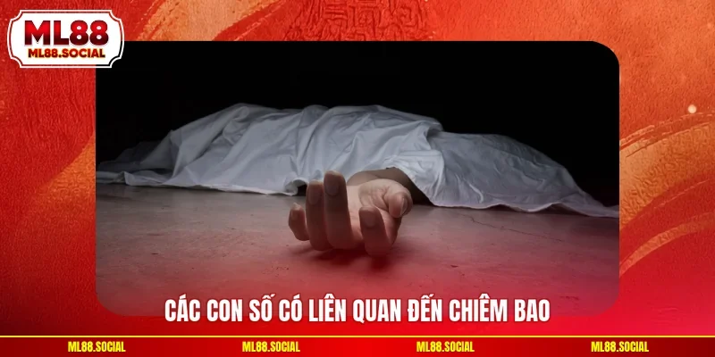 Các con số có liên quan đến chiêm bao