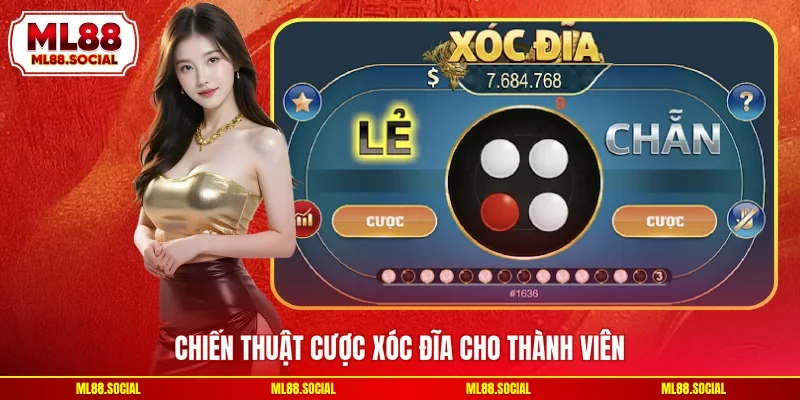 Chiến thuật cược xóc đĩa cho thành viên
