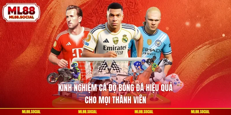 Kinh Nghiệm Cá Độ Bóng Đá Hiệu Quả Cho Mọi Thành Viên