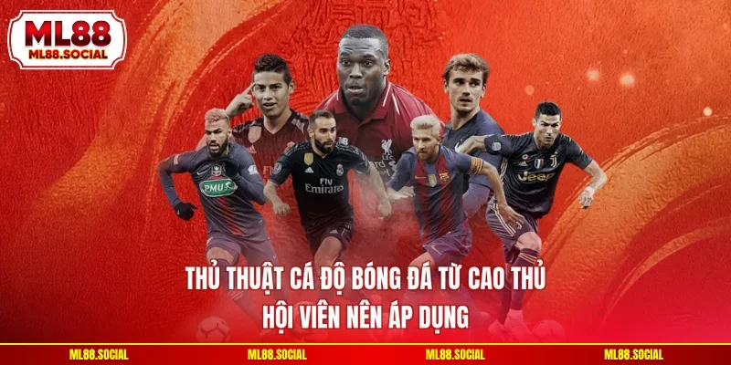 Thủ Thuật Cá Độ Bóng Đá Từ Cao Thủ Hội Viên Nên Áp Dụng